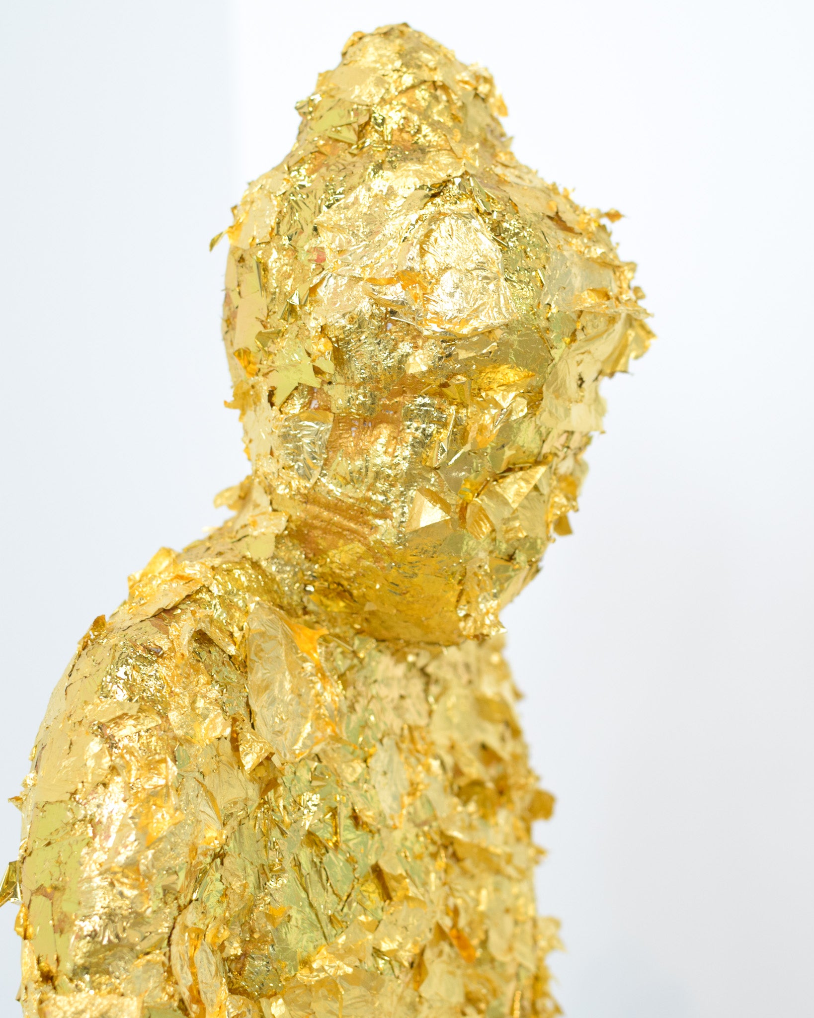 Gold on the Back of Buddha